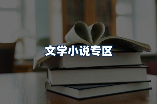 文学小说PDF展示